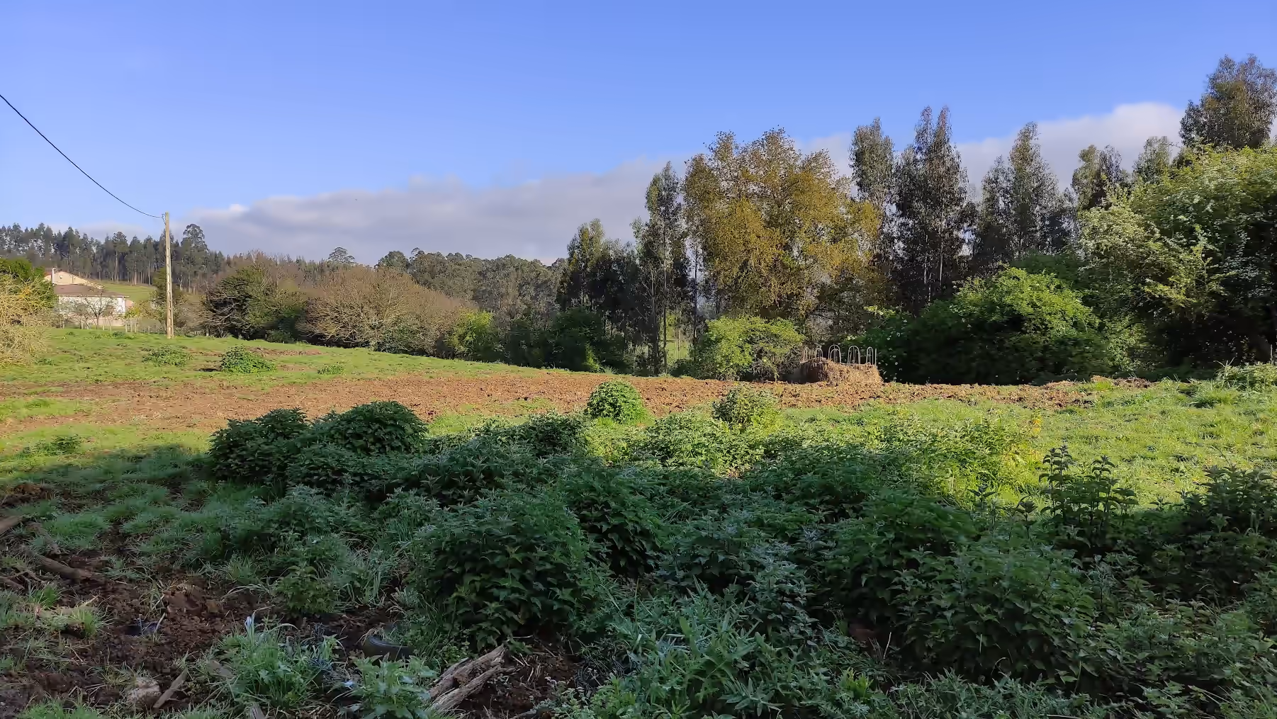 Vista de la finca en Serín